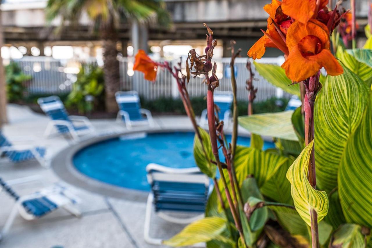 Steps To Pool And Beachamazing Views From Two Balconies